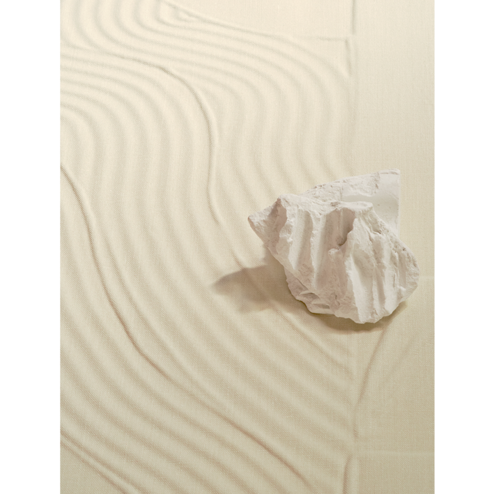 Palimpseste lin