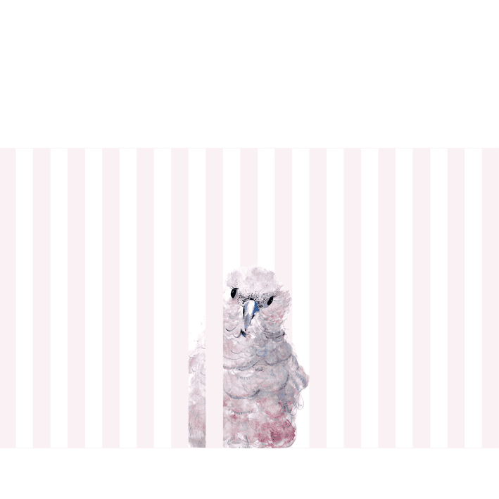 Cockatoo Stripe Pink