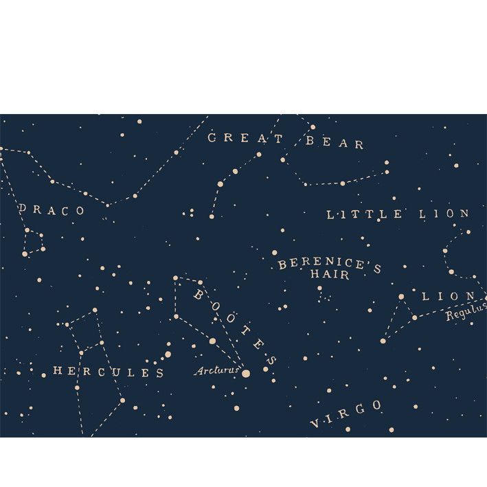 Great Bear Little Lion Blue