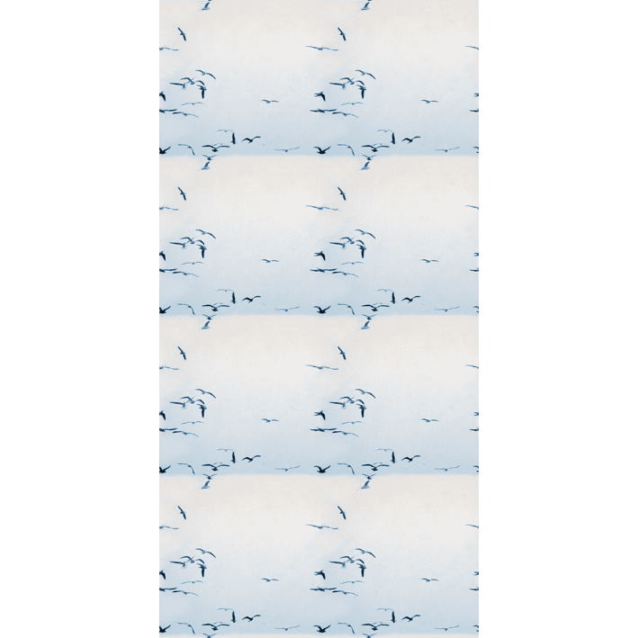 Portuguese Seagulls 02 Ice